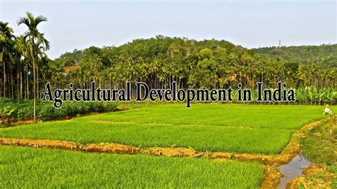 Agricultural Development In India Youtube