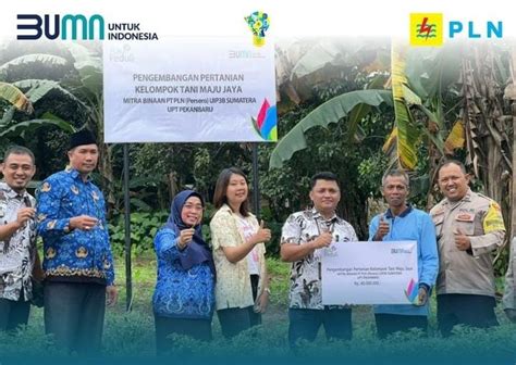 PLN Bantu Kelompok Tani Maju Jaya Di Kepri Lewat Program Tanggung Jawab