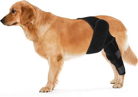 Kinbom Hunde Kniebandage Hinterbein Hunde Hinterbein Bandage Hunde Acl