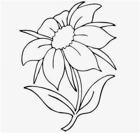 Realistic Flowers Drawing at GetDrawings | Free download