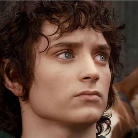 Fellowship Of The Ring Lord Of The Rings Pretty Movie Frodo Baggins