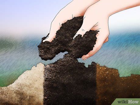 3 Cara Untuk Menyesuaikan PH Tanah WikiHow