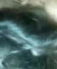 Hardcore Fucking Xhamster