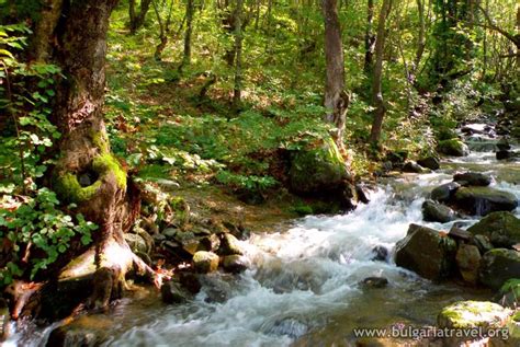 Водопад "Чатала" - Самуилово | Опознай.bg