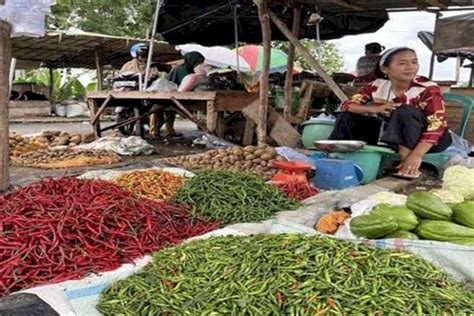 Banyak Yang Gagal Panen Harga Cabai Di Empat Lawang Merangkak Naik