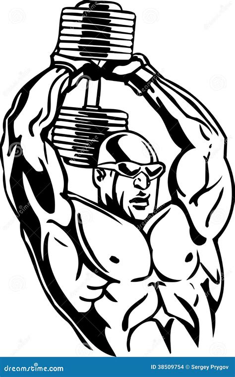 Levantamiento De Pesas Y Powerlifting Vector Ilustración Del Vector Ilustración De Atleta