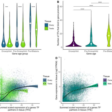 Transcription Factor Expression Explains Gene Ageexpression Trends In