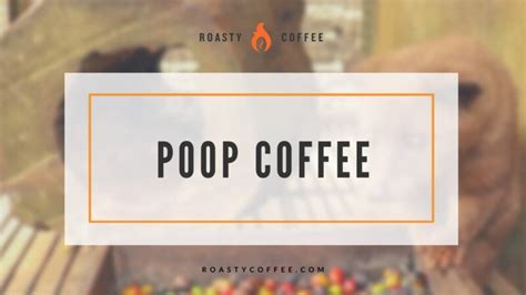 Poop Coffee – The Lowdown on This Unusual Phenomenon!