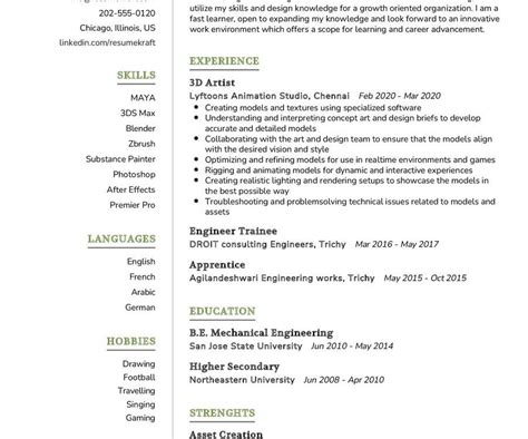 D Artist Cv Sample In Resumekraft