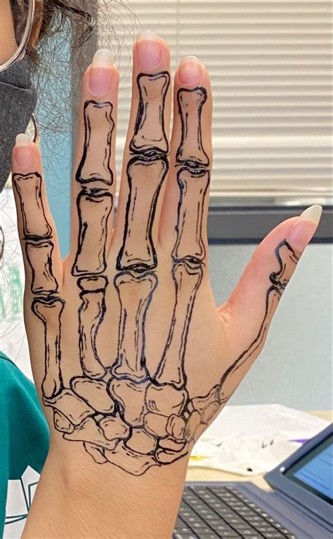 Skeleton Hand In 2024 Skeleton Hand Tattoo Hand Doodles Skeleton