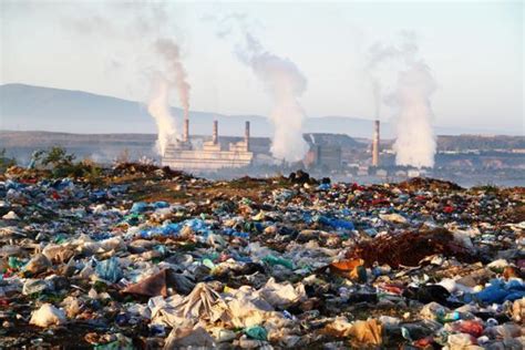 Tipos De Contaminantes Ambientales Clasificación Y Ejemplos