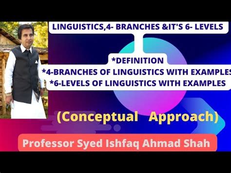 Lecno 289 Linguistics Levels Of Linguistics Branches Of Linguistics