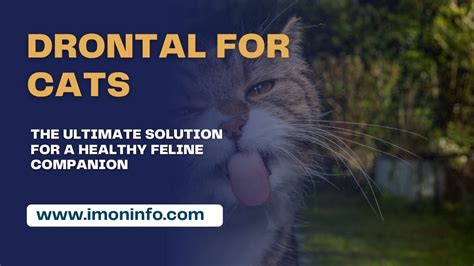 Drontal for Cats: The Ultimate Solution for a Healthy Feline Companion