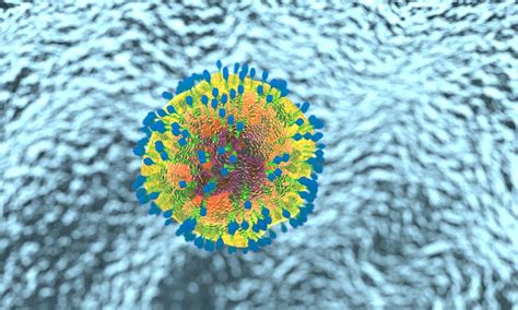 Exploring the evolution of pathogen plasticity | Department of Biology