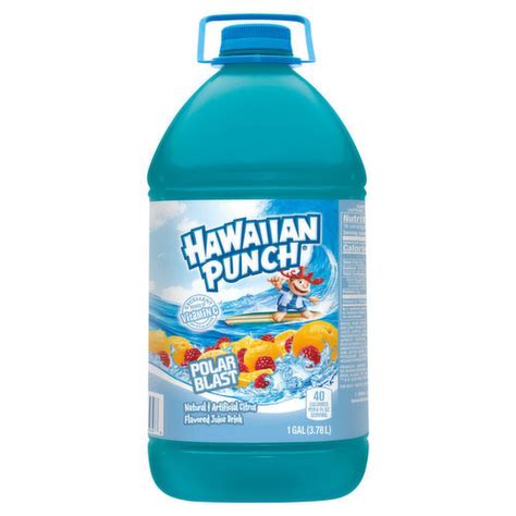 Hawaiian Punch Punch Polar Blast 378l Kaufen 1190