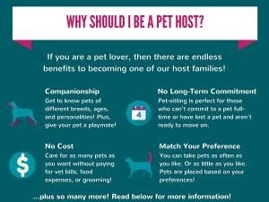 Become A Pet Sitter Pets Are Inn