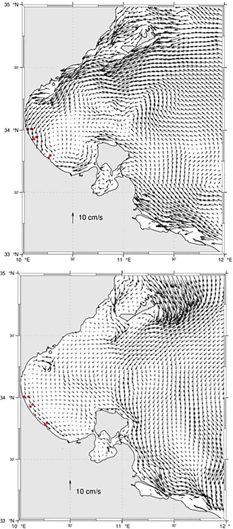 Frontiers Evolution Of The Distribution And Dynamic Of Microplastic In Water And Biota A