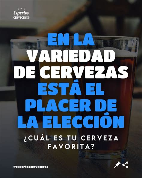 Conoce M S Sobre La Cerveza En El Instagram De Expertos Cerveceros