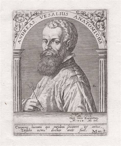 Andreas Vesalius Anatomicus Andreas Vesalius Physician