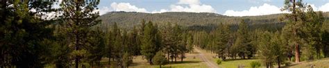 Prineville Oregon Real Estate | Prineville Homes For Sale