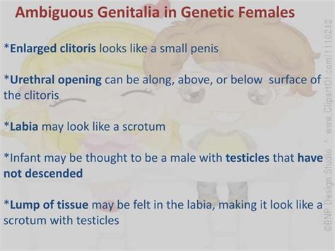 Ambiguous Genitalia Ppt