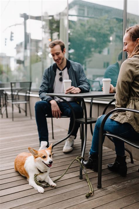 Dog-Friendly Places Near Me - Find restaurants, cafes, and more