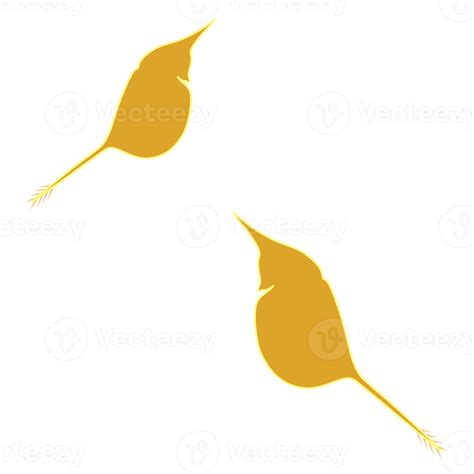 Plankton Water Flea Zooplankton Icon Colorful Cartoon Cute Animal