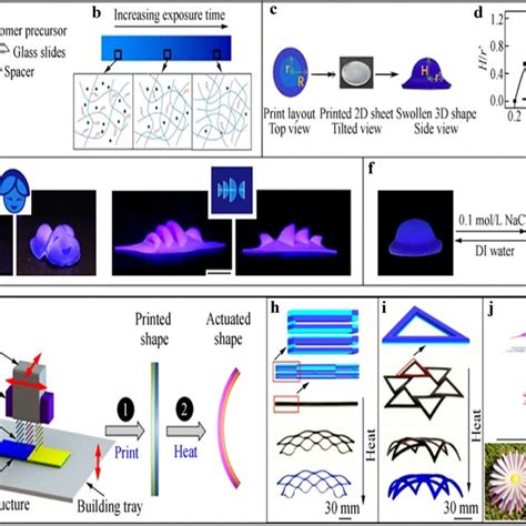 4D Printing By Digitally Defined Transformation And Direct 4D Printing