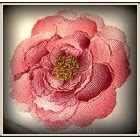 Flowers Peony Size Mm Designs And Fonts For Embroidery