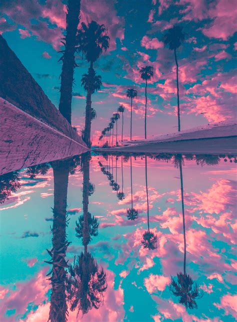 Palm Trees Reflection Sky Hd Nature 4k Wallpapers Images Backgrounds Photos And Pictures