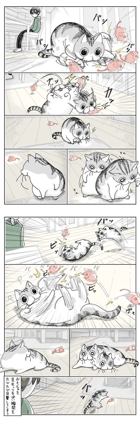 一瞬おもちゃを見失うネコ｜ねこナビ かわいい動物の絵 かわいいコミック 動物の壁紙