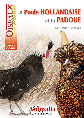 La Poule Padoue Une Poule Au Look Princier Mes Poules