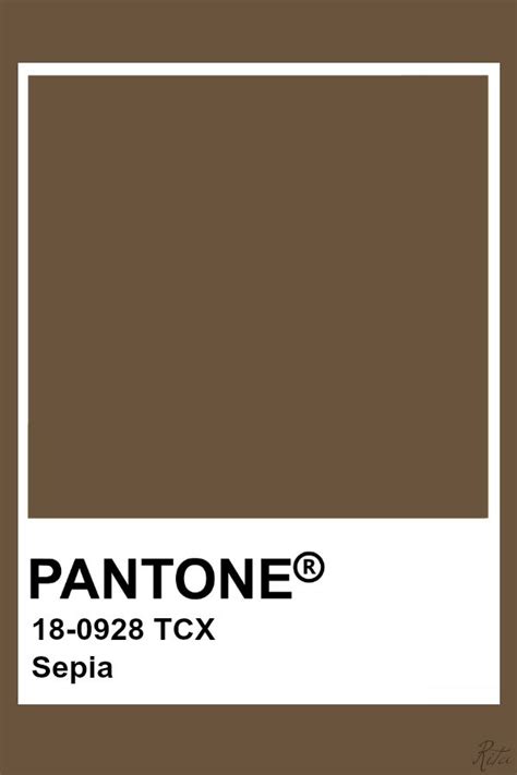 Pantone Sepia Kleurenpalet Kleuren Pantone