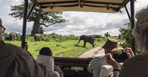 Tage Best Of Kenia Und Tansania Wildlife Abenteuer Getyourguide