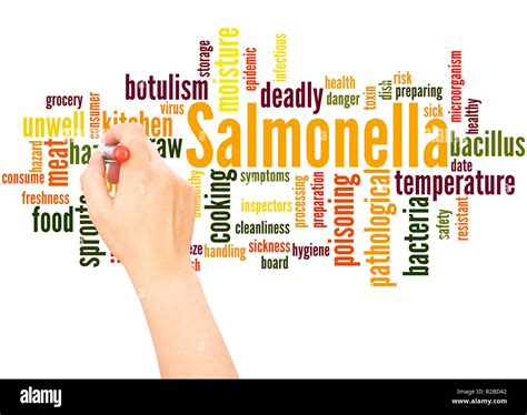 Salmonella Word Cloud Concept On White Background Stock Photo Alamy