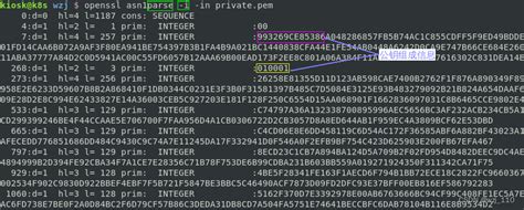 Tlsssl五 基于 Openssl 实战验证 Rsarsa证书过期如何验证 Csdn博客