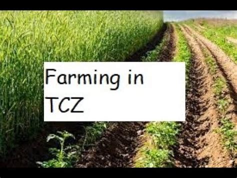 Cool Zone Farming Guide Part Crops Youtube