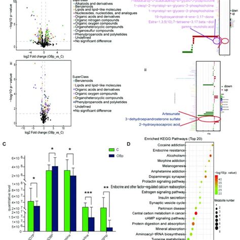 Principal Component Analysis Of The Metabolites A Volcanic Maps Of Download Scientific