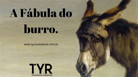 A F Bula Do Burro Youtube