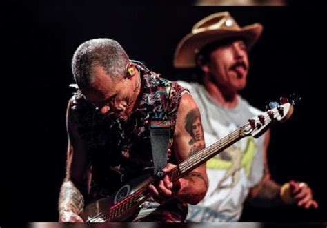 Muere Jack Sherman ex guitarrista de Red Hot Chili Peppers a los 64 años Periodico