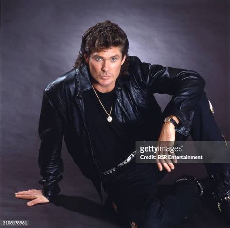 126 David Hasselhoff 1990 Stock Photos High Res Pictures And Images