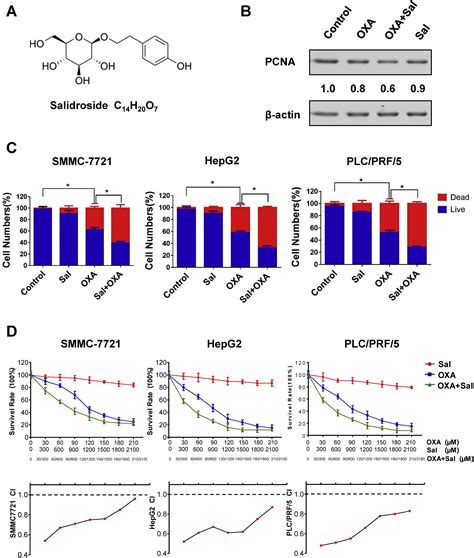 Salidroside Improves The Hypoxic Tumor Microenvironment And Reverses