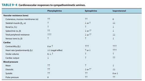 Cardiovascular System - Organ System Effects of Sympathomimetic Drugs