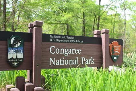 Congaree National Park - Sharing Horizons