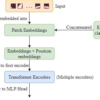 The Vision Transformer | Download Scientific Diagram