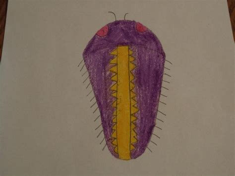trilobite drawing    deviantart