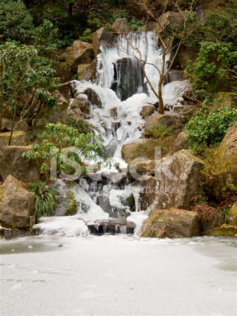 Frozen Waterfall Koi Pond Japanese Garden Portland Oregon Winter Stock ...