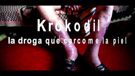 Krokodile La Droga Canival Youtube