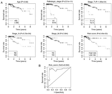 A Kaplan Meier Plots For Various Stages Of Disease Or Clinical