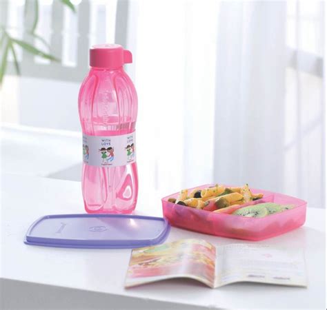 Plastic Pink And Purple Tupperware Kids Lunch Box Set For School At Rs